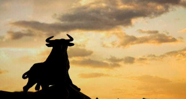 longevity of bull market