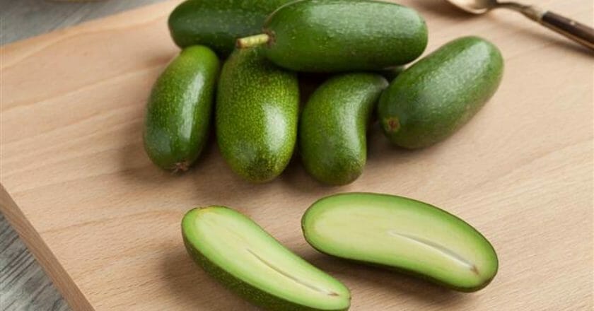 seedless avocados